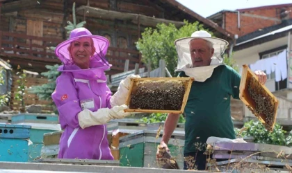 Dünyaca ünlü Anzer balında referans kovanlarında sağım gerçekleşti